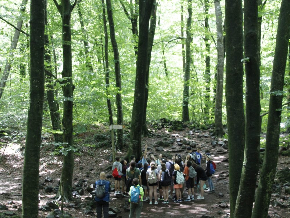 excursions1dia